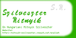 szilveszter mitnyik business card